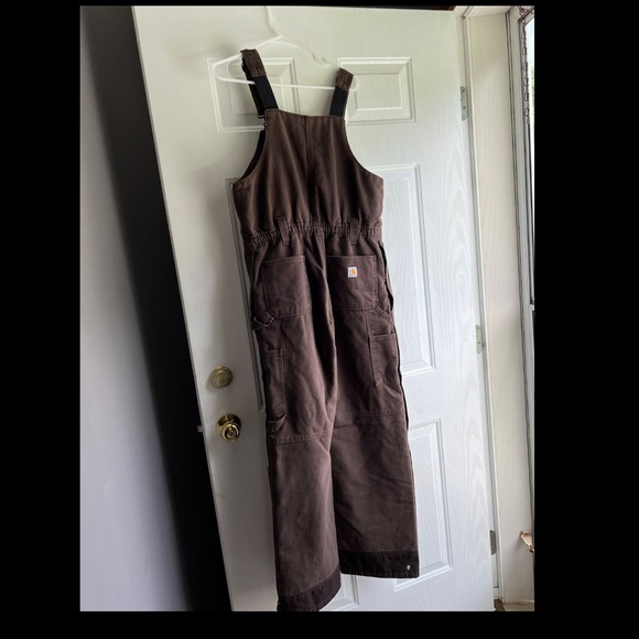 Carhartt Jackets & Blazers - Womens Relaxed Fit Washed Duck Insulated Bib Overalls